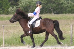 Trixie Hellström & Kraflar.